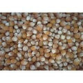 Trumps Popping Corn Popcorn 1Kg