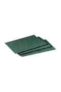 Spongue Scourer