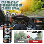 Rayhong Car Windshield Spray, Windshield Rearview Mirror Cleaning, Stain Removal, Hydrophobic Water Repellent, Anti-Fog Agent