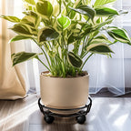 Movable Iron Potted Plant Stand for Home Garden Decoration-Black
