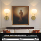 Rechargeable Wall Light Indoor,Battery Operated Wall Lamp with Remote,Indoor Wall Light with 3 Color Modes and RGB,Frosted Glass Wall Mounted Lamp for Living Room Bedrooms 2 Pack (Gold)