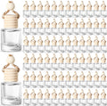 100 Pcs Car Air Fresheners Diffuser with Wooden Empty Aromatherapy Diffuser Clear Fragrance Holder Pendant Hanging Perfume Fresheners Bottles for Car Decor(Clear Classic)