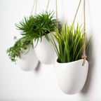 Fei Yu 3-Pack White Ceramic Wall Pots