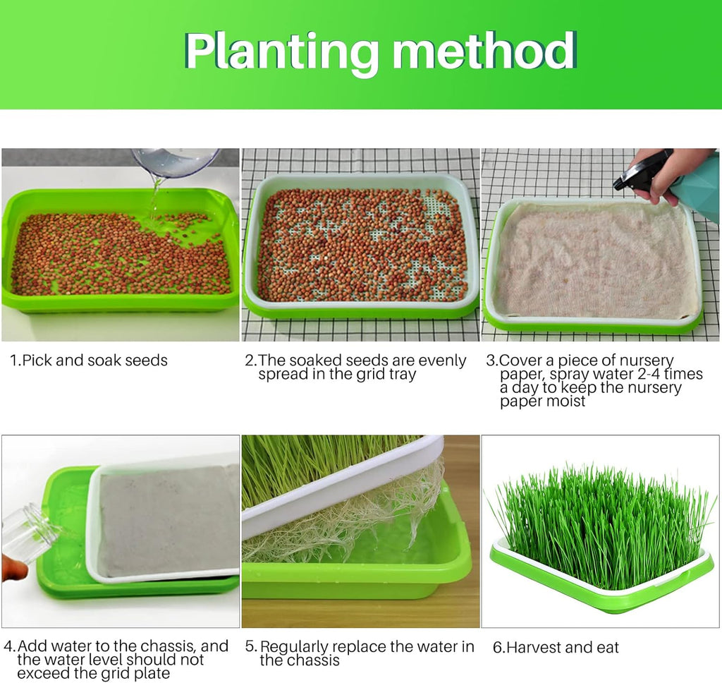 8-Pack Seed Sprouter Tray Microgreens Growing Trays BPA Free Seed Germination Propagation Soil-Free Wheatgrass Bean Nursery Tray with Planting Paper for Indoors or Outdoors