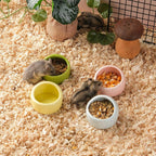 4 Pack Small Hamster Food Bowl Ceramic Guinea Pig Food Dish No Spill Hamster Food and Water Bowl Small Animal Food Bowl for Chinchilla Hedgehog Hamster Gerbil - Pink Blue Yellow and Green