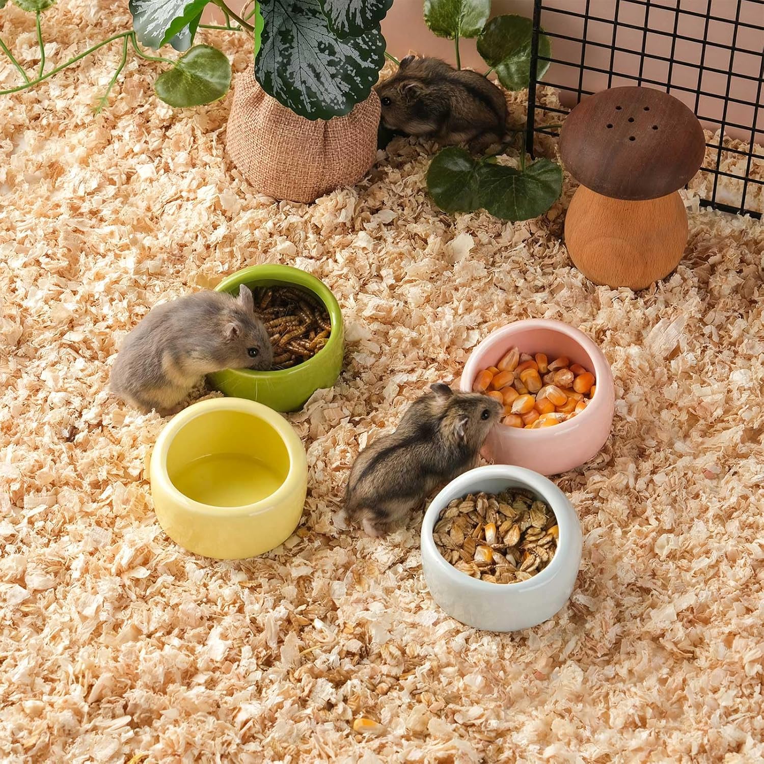 4 Pack Small Hamster Food Bowl Ceramic Guinea Pig Food Dish No Spill Hamster Food and Water Bowl Small Animal Food Bowl for Chinchilla Hedgehog Hamster Gerbil - Pink Blue Yellow and Green