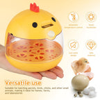 Incubator - Egg incubator | Incubator with a capacity of 4 eggs - with automatic temperature and humidity control - suitable for hatching eggs of chickens, ducks, geese, quails, parrots and other poultry
