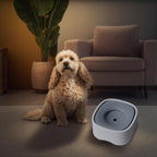 Dog Drinking Bowl - Cat Water Bowl - Anti-Spill Drinking Bowl - Dog Accessories - Anti-Spill - Splash-Proof - Floating Bowl - Travel Drinking Bowl - For Car - Cats - Puppy - Water Dispenser - Pet Gift - Anti-Slobber - Square - Gray - 1 Piece