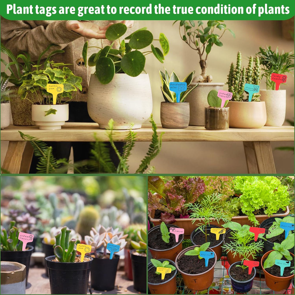 Plant labels - Plant plugs - Plant labels - Plant signs - Garden labels - Vegetable garden - Plugs - Sowing labels - Herb plugs - Growing labels - Plant labels - Name tags - Writing boards - T-labels - 6x10 cm - Multicoloured - 200 pieces