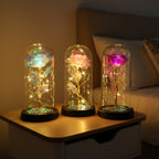 Blue & Silver Butterfly Lantern - Enchanted LED Decorative Light