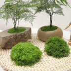 diy artificial moss lawn-Dark Green Filamentous Moss 1000g (Bulk)