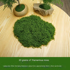 diy artificial moss lawn-Dark Green Filamentous Moss 1000g (Bulk)