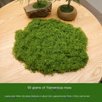 diy artificial moss lawn-Dark Green Filamentous Moss 1000g (Bulk)