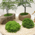 diy artificial moss lawn-Light Green Filamentous Moss 1000g (Bulk)