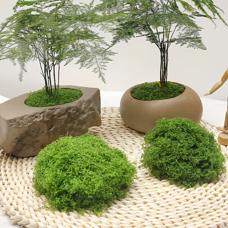 diy artificial moss lawn-Light Green Filamentous Moss 1000g (Bulk)