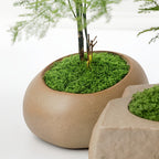 diy artificial moss lawn-Light Green Filamentous Moss 1000g (Bulk)