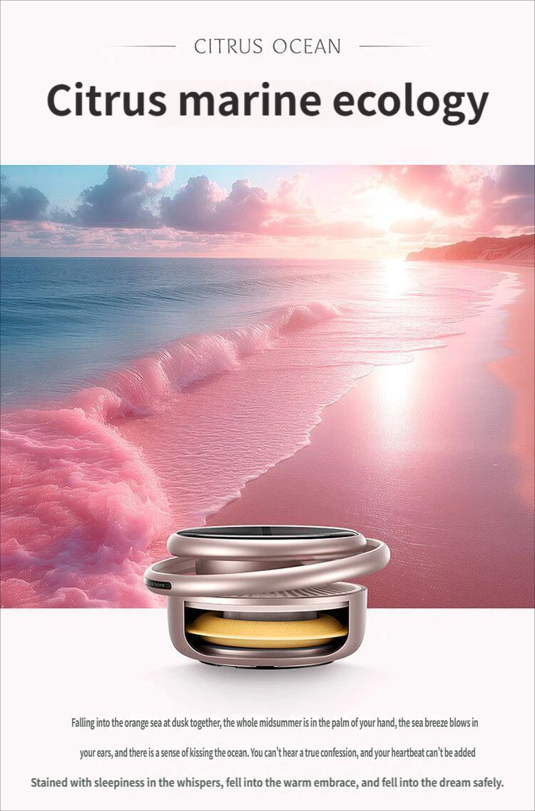 Car Aromatherapy-Black