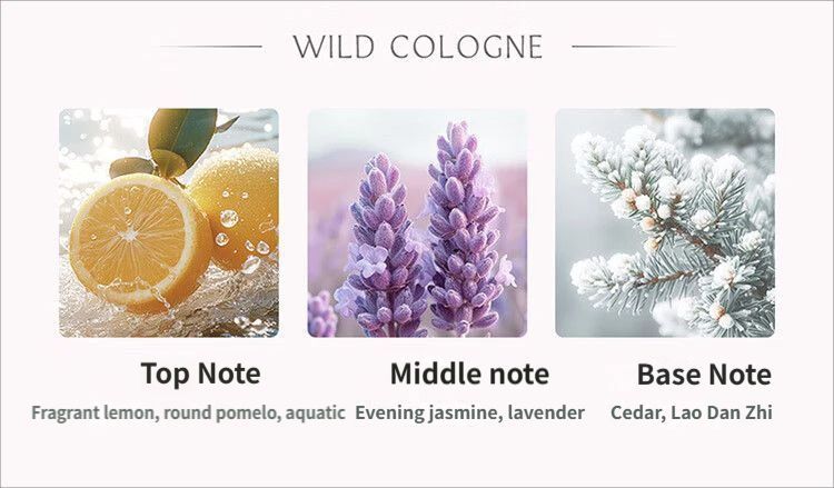 Car Aromatherapy-Pink