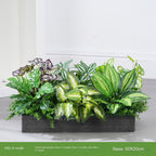 ArtificialPlantE16-95*20cm