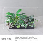 ArtificialPlantHY-AX802-70*20cm