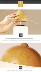 Model B - Without light source