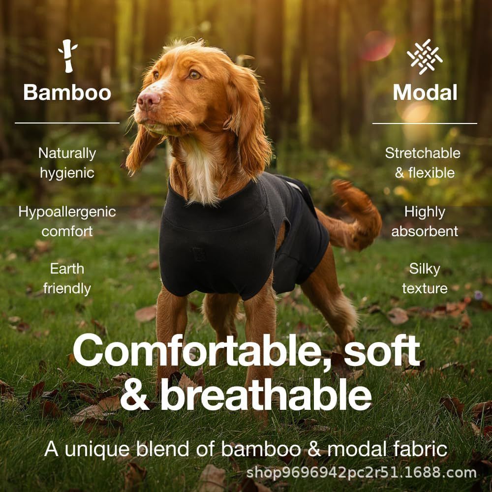 Pet physiological pants-XL