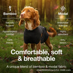 Pet physiological pants-XL