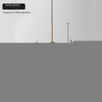 Transparent Peach Pendant Light for Dining Room - Without Light Source