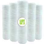 Set of 5 Spiral Water Filter Cartridges Anti-Sediment 10 Inch 254 mm - Compatible with 10 Inch Filters Made in France 5 Microns
