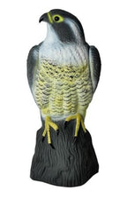 Scarecrow Eagle - Scares away Birds