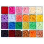 Needle Felting Set, 24 Colors Wool Carded Fleece Felting, Complete Needle Felting