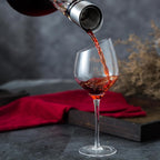 CARLA HOME Iceberg Wine Decanter with Aerator Filter and Lid