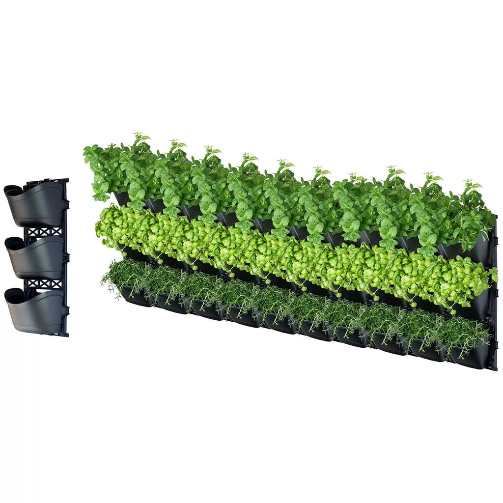 Tri large vertical garden with 10 frames and 30 pots