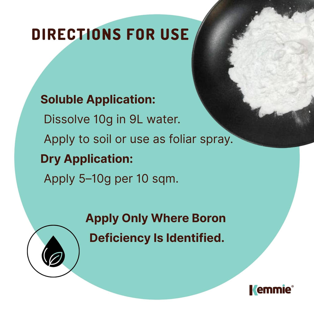 100g Boric Acid Powder 99.9% Pure - Soluble Orthoboric Acid H3BO3