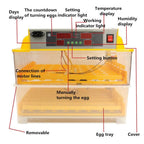 Rooster Farms Electric 96 Egg Incubator + Accessories for Chicken Quail Duck