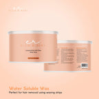 400g Soft Wax Hair Removal - Aloe Vera Depilatory For Salon Pot Warmer