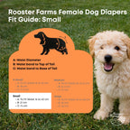 Rooster Farms Female Dog Diapers Small 3Pk - Washable Reusable Nappies Hook/Loop