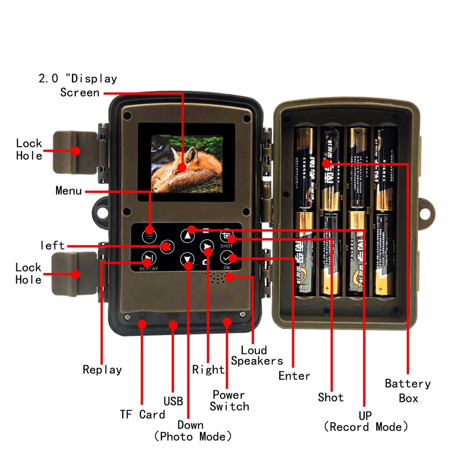 1080p Wildlife Hunting Camera with Night Vision for Outdoor Tracking