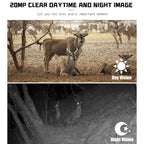1080p Wildlife Hunting Camera with Night Vision for Outdoor Tracking