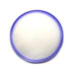 Outlet & Pre-filter for Dyson Dc19 / 20 / 21 Vacuum Cleaner