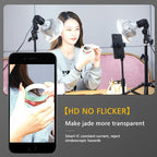 Desktop Photography Stand Kit with Mushroom Fill Light - 90W 155Mm