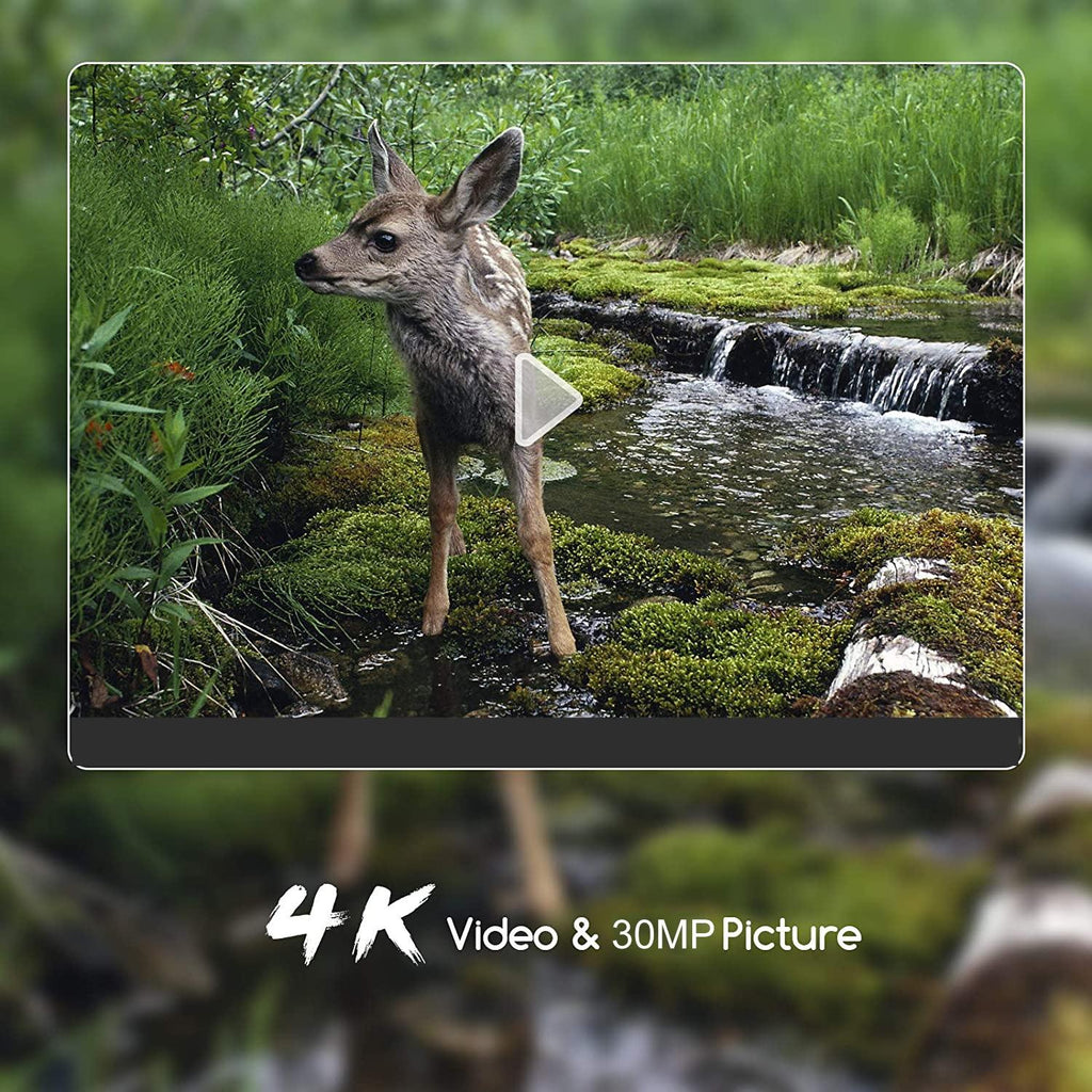 Outdoor Hunting Camera with Wifi & Remote Control - View Photos / Video Anytime