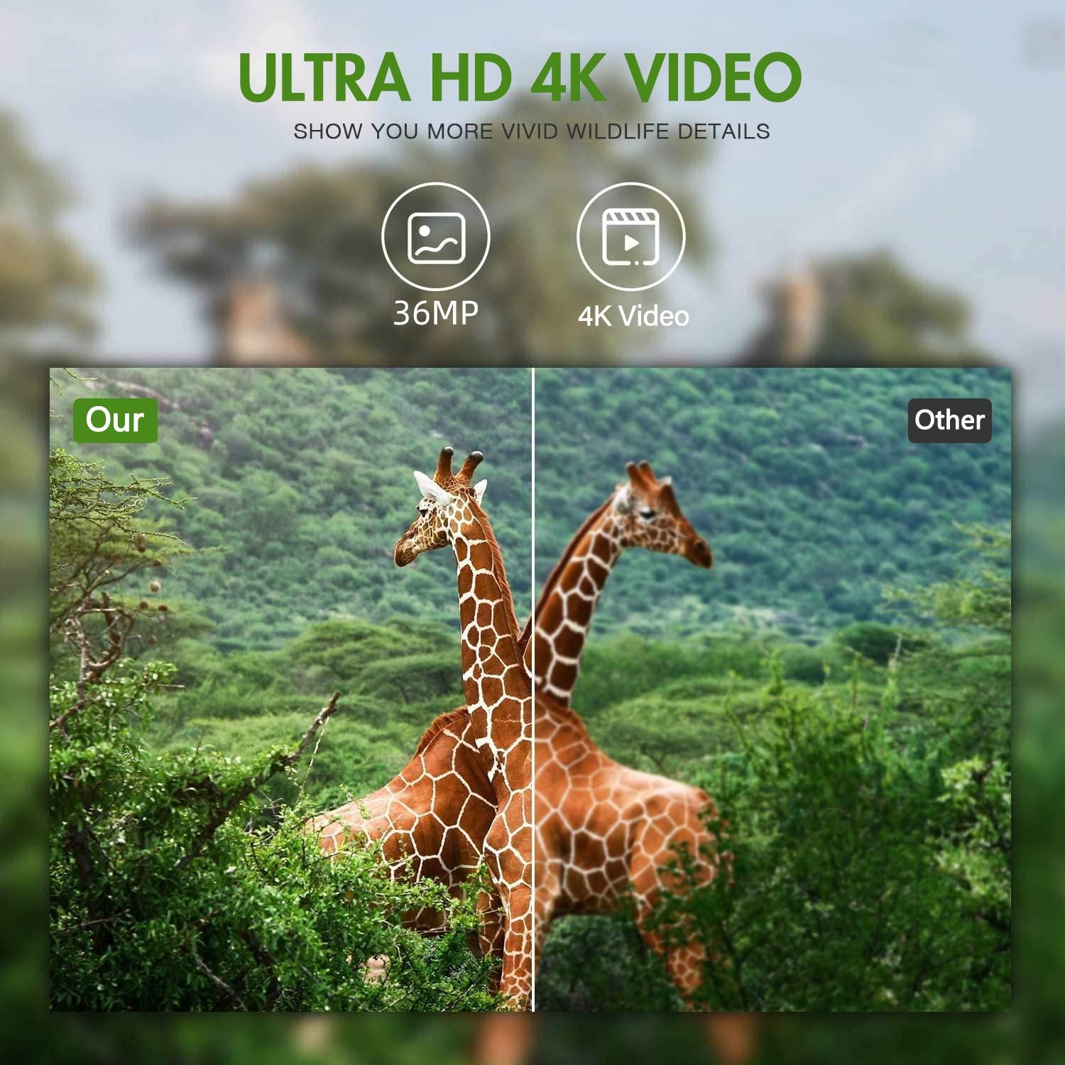 Outdoor Hunting Camera with Wifi900pro for Remote Viewing of Photos / Videos