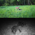 Outdoor Hunting Camera with Infrared Night Vision - 2.7k Resolution