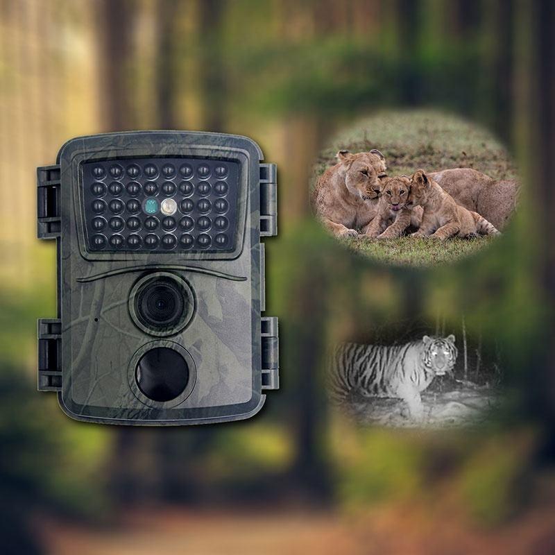 20mp 1080p Infrared Cameras with 38 Ir Lamps for Hd Monitoring