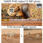 Outdoor Hunting Camera with Night Vision and Infrared Sensing