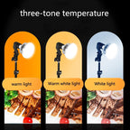 500w Mushroom Lamp & Stand for Mobile Phone Photography