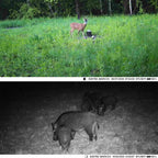 Outdoor Infrared Night Vision Camera with Tracking - 2.7k