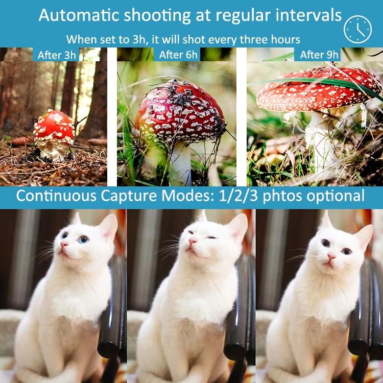 Waterproof Infrared Night Vision Camera for Outdoor Monitoring
