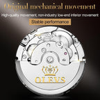 Waterproof Automatic Mechanical Watch for Men with Multi-function Flywheel - Silver Gold Green